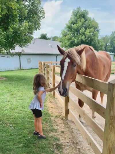 Lake Metroparks Farmpark - Kirtland, OH