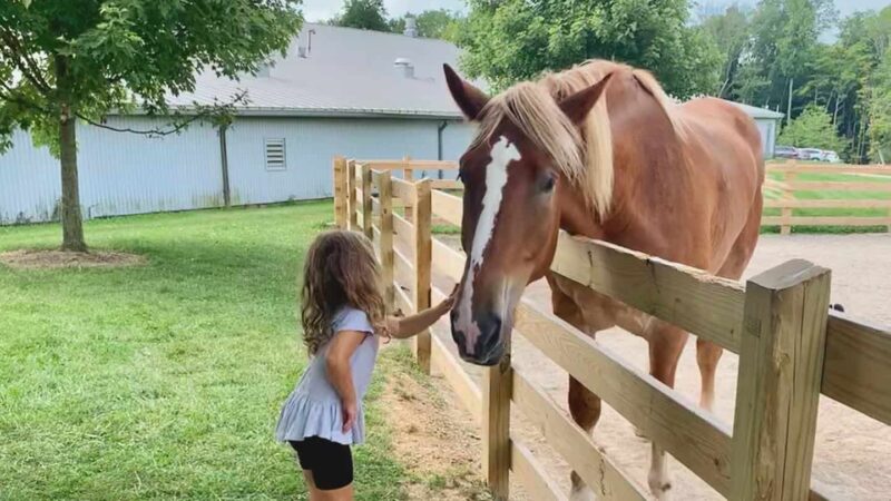 Lake Metroparks Farmpark - Kirtland, OH