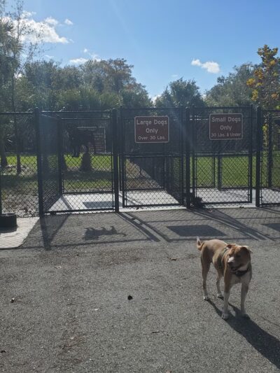 Dog Park - Kissimmee, FL