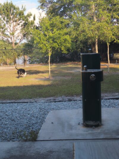 Dog Park - Kissimmee, FL