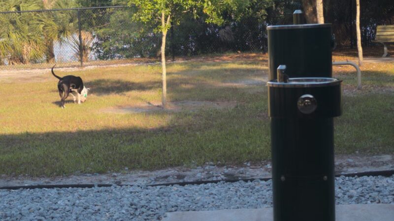 Dog Park - Kissimmee, FL