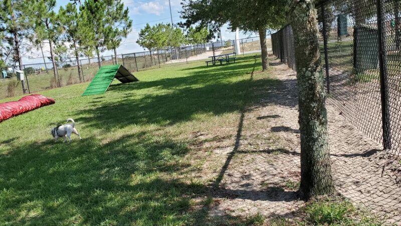 Dog Park At Poinciana Community Park - Kissimmee, FL