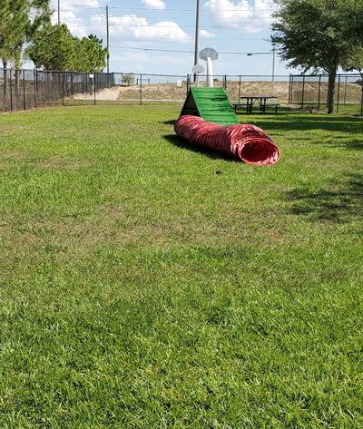 Dog Park At Poinciana Community Park - Kissimmee, FL