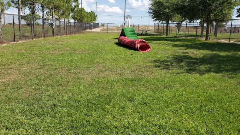 Dog Park At Poinciana Community Park - Kissimmee, FL