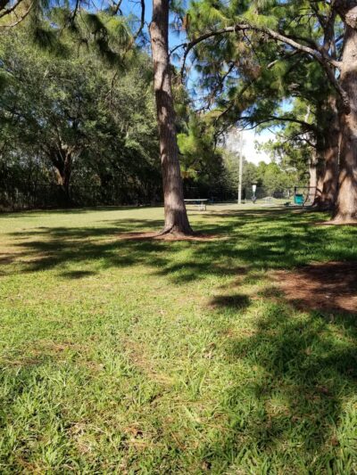 Partin Triangle Dog Park - Kissimmee, FL