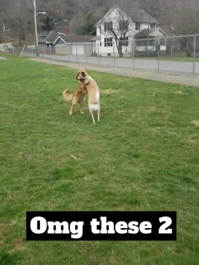 Applewold Green - Kittanning, PA