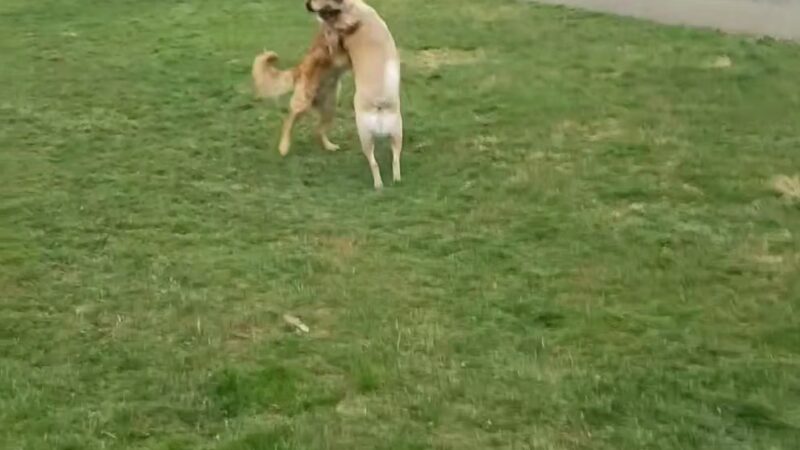 Applewold Green - Kittanning, PA