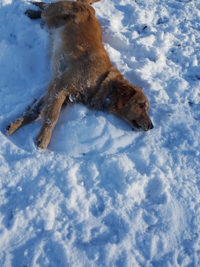 Applewold Green - Kittanning, PA