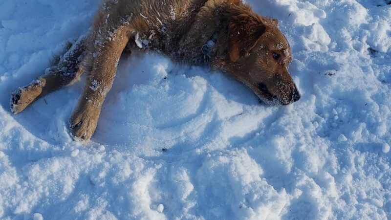 Applewold Green - Kittanning, PA