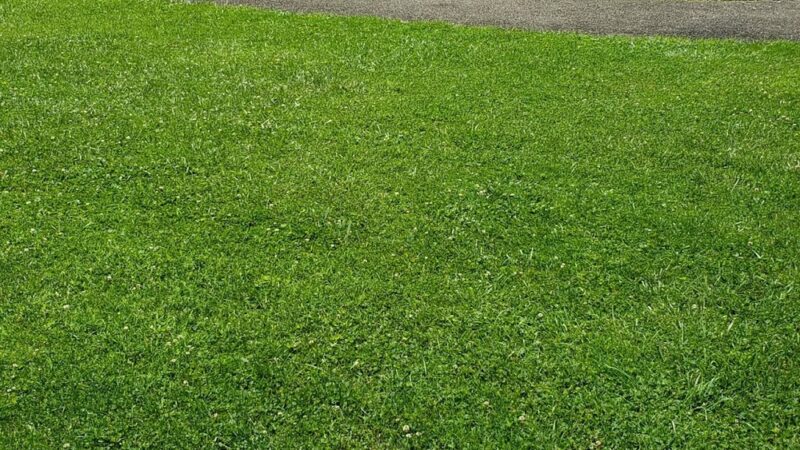 Applewold Green - Kittanning, PA