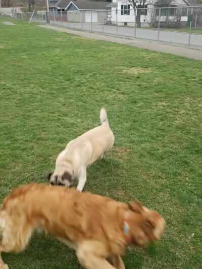 Applewold Green - Kittanning, PA