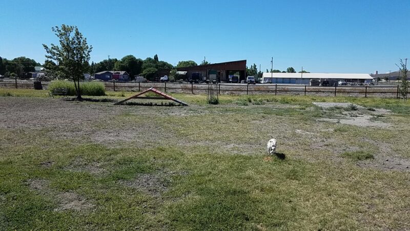 Dog Park at the OC&E Trail - Klamath Falls, OR