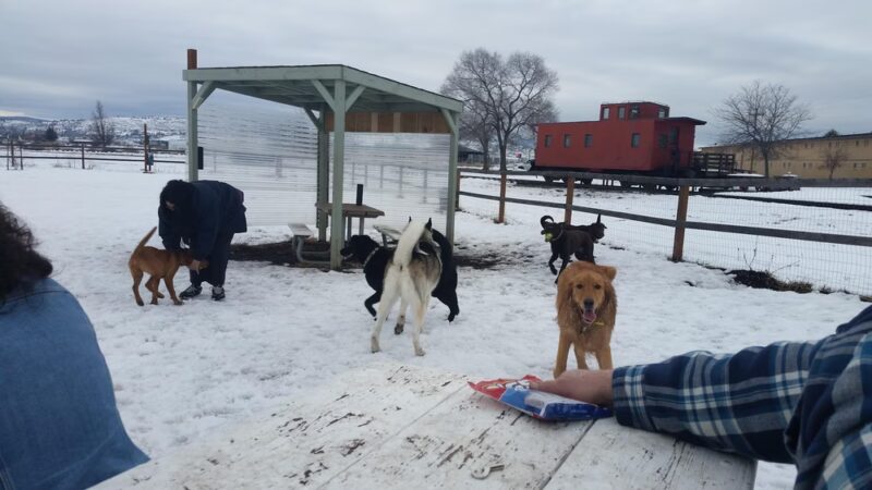 Dog Park at the OC&E Trail - Klamath Falls, OR