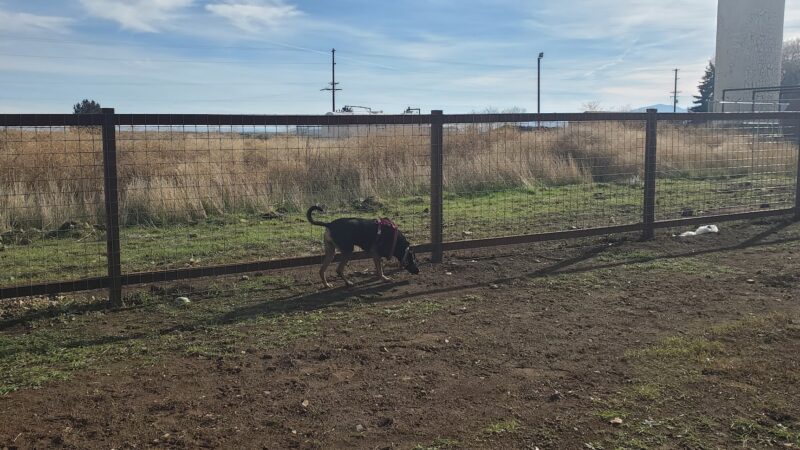 Sinclair's Dino-Dog Park - Klamath Falls, OR