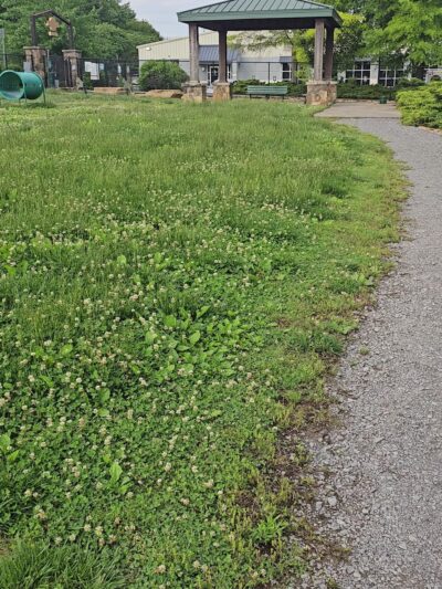 Public Dog Park at Pet Safe Village - Knoxville, TN