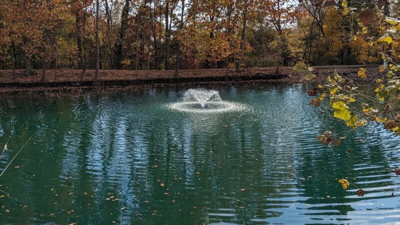 Public Dog Park at Pet Safe Village - Knoxville, TN