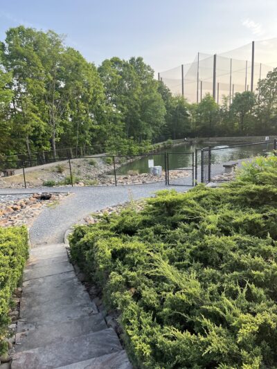 Public Dog Park at Pet Safe Village - Knoxville, TN