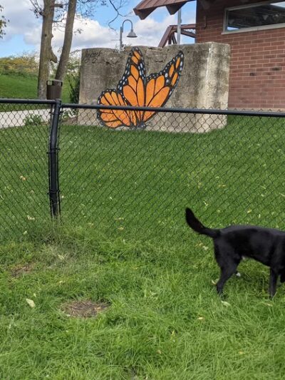 Downtown Dog Park - Kokomo, IN