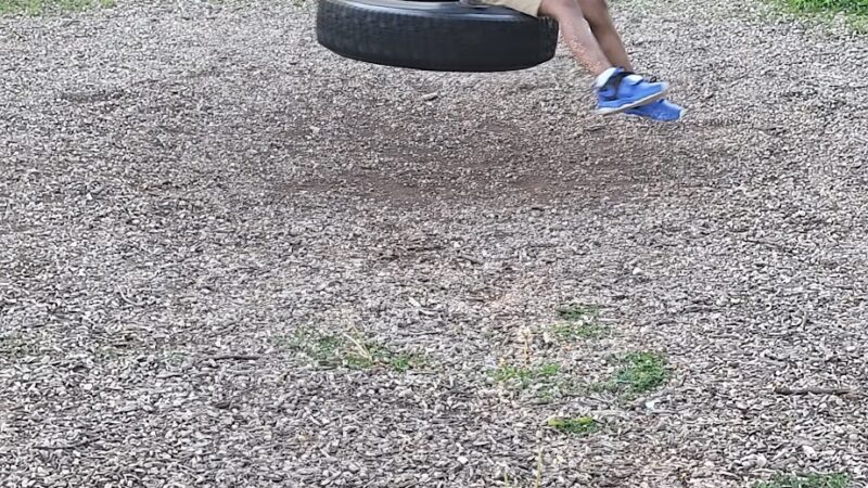 Mohr Dog Park - Kokomo, IN