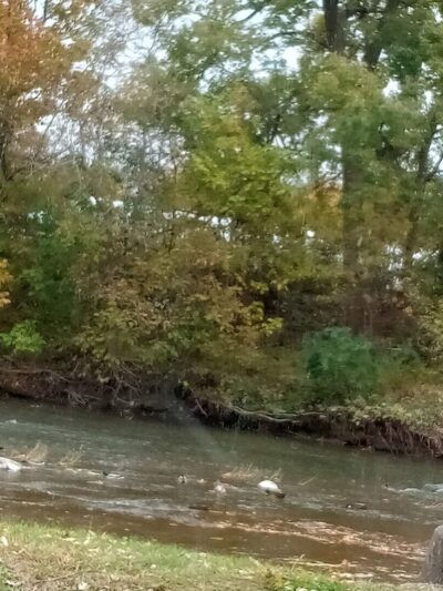 UCT Park - Kokomo, IN