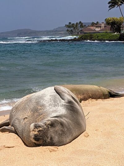 Poipu Beach Parking Lot - Koloa, HI
