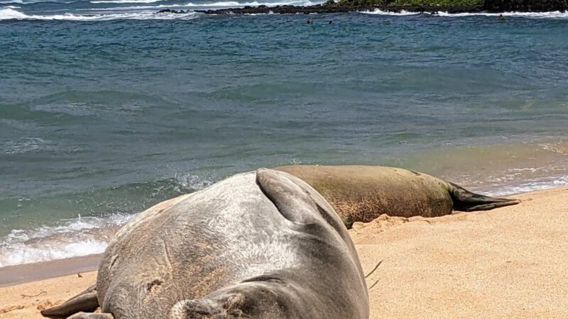 Poipu Beach Parking Lot - Koloa, HI