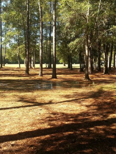 Kountze City Park - Kountze, TX