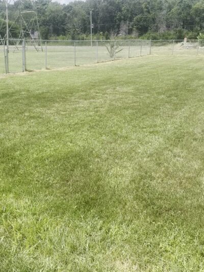 The Barking Lot - Kuttawa, KY