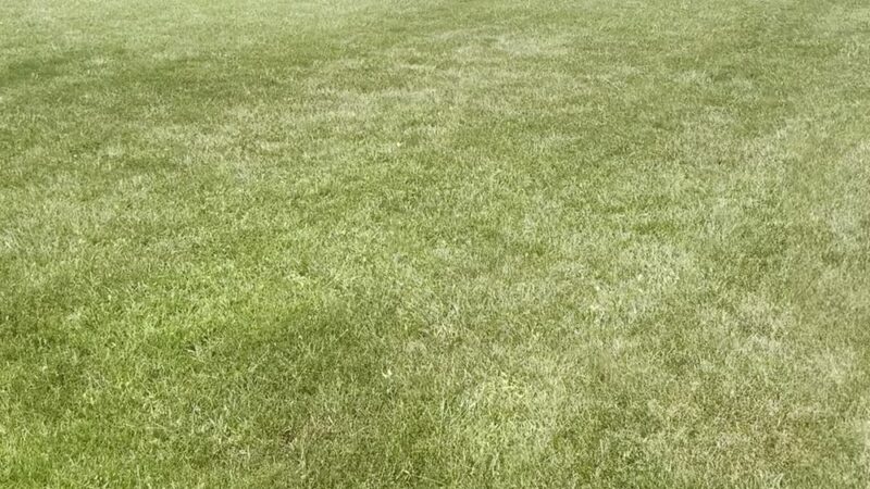 The Barking Lot - Kuttawa, KY