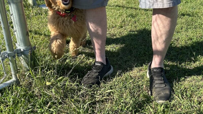 The Barking Lot - Kuttawa, KY