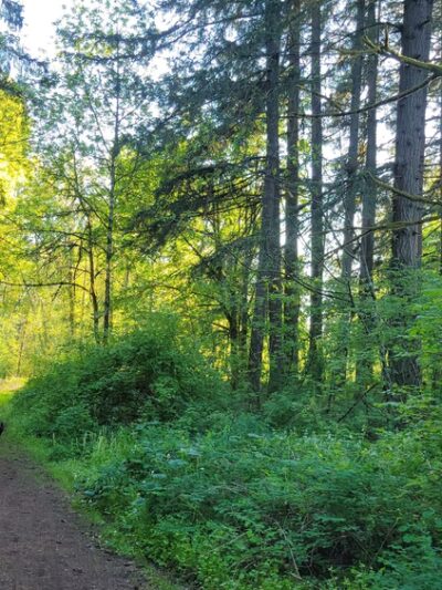 Danger Park - La Center, WA