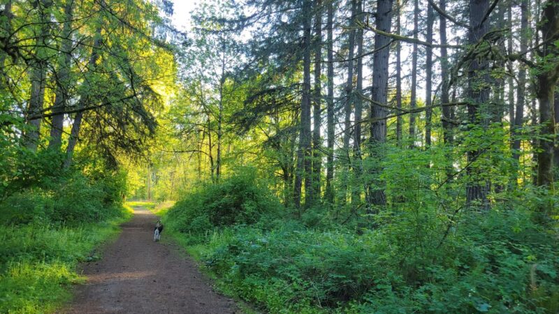 Danger Park - La Center, WA