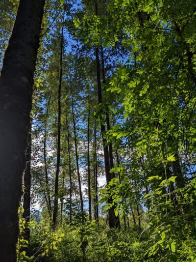 Danger Park - La Center, WA