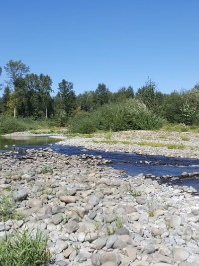 Danger Park - La Center, WA
