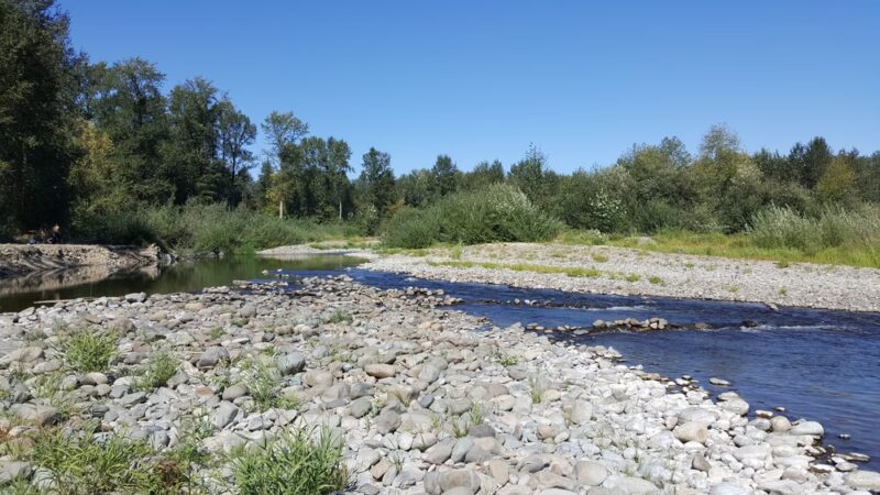 Danger Park - La Center, WA