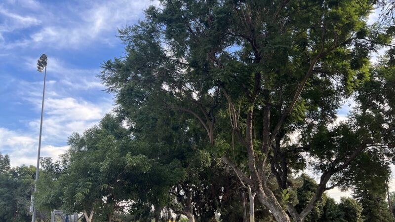 Esteli Park - La Habra, CA