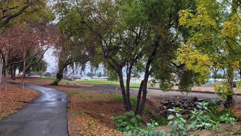 Guadalupe Park - La Habra, CA