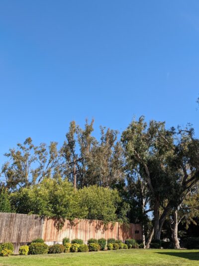 Guadalupe Park - La Habra, CA