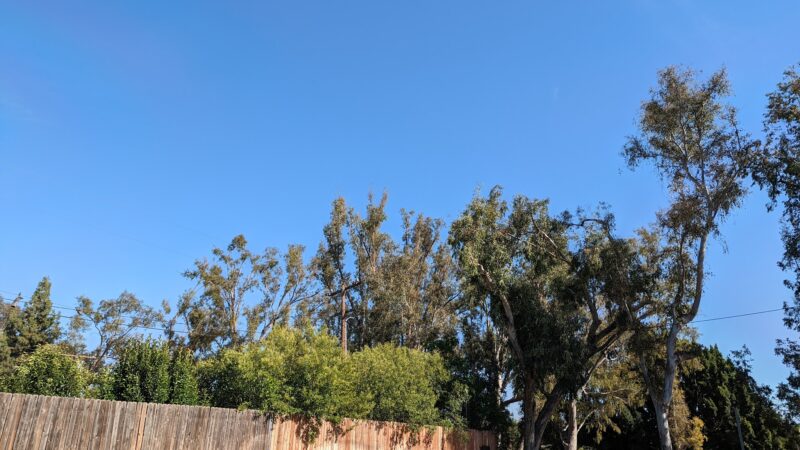 Guadalupe Park - La Habra, CA