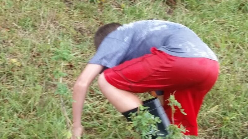 La Harpe City Park - La Harpe, KS