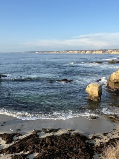 Children's Pool La Jolla - La Jolla, CA