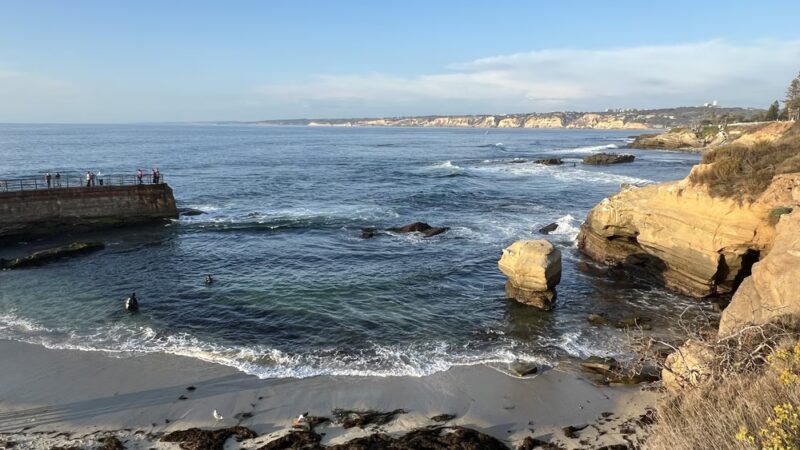 Children's Pool La Jolla - La Jolla, CA
