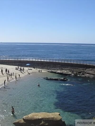 Children's Pool La Jolla - La Jolla, CA