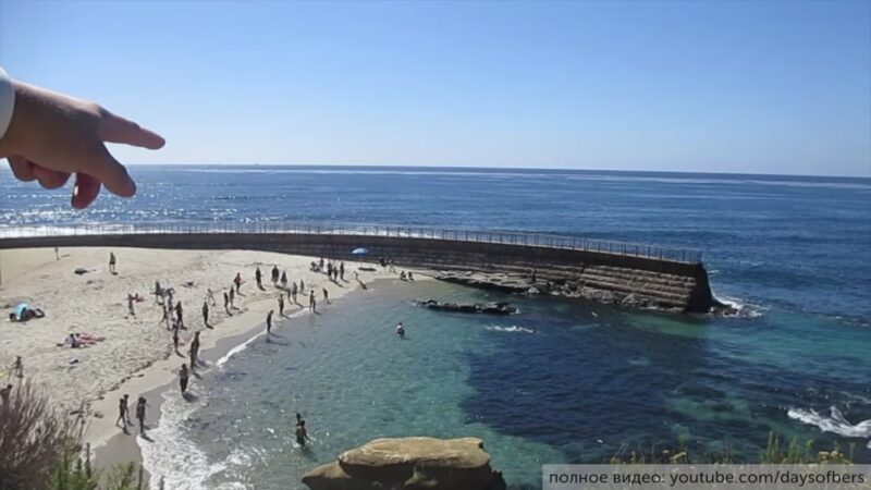 Children's Pool La Jolla - La Jolla, CA