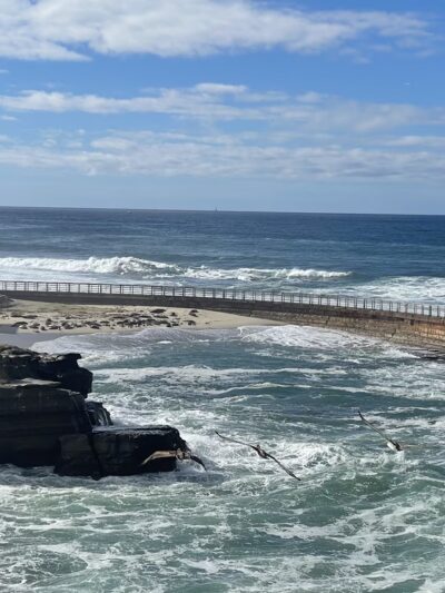 Children's Pool La Jolla - La Jolla, CA