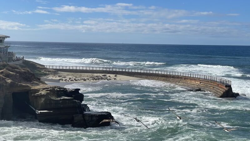Children's Pool La Jolla - La Jolla, CA
