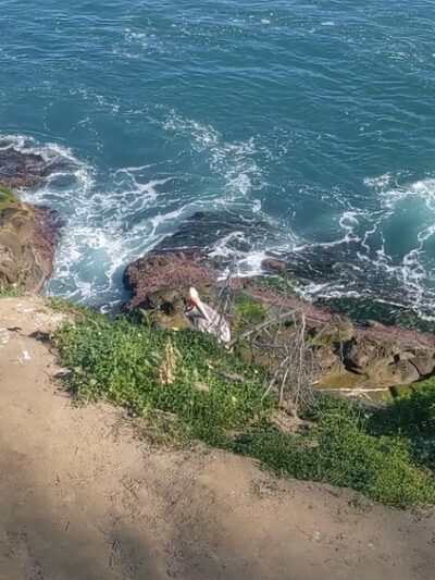Coast Walk Trail - La Jolla, CA