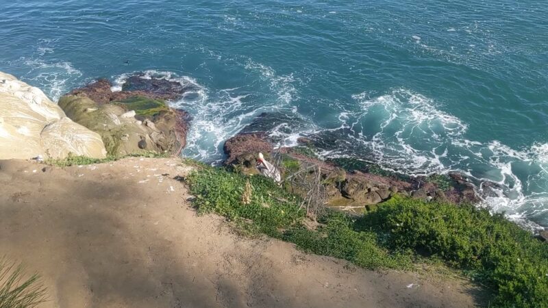 Coast Walk Trail - La Jolla, CA