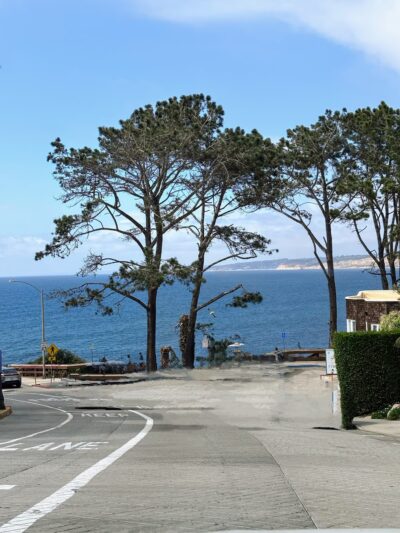 Coast Walk Trail - La Jolla, CA