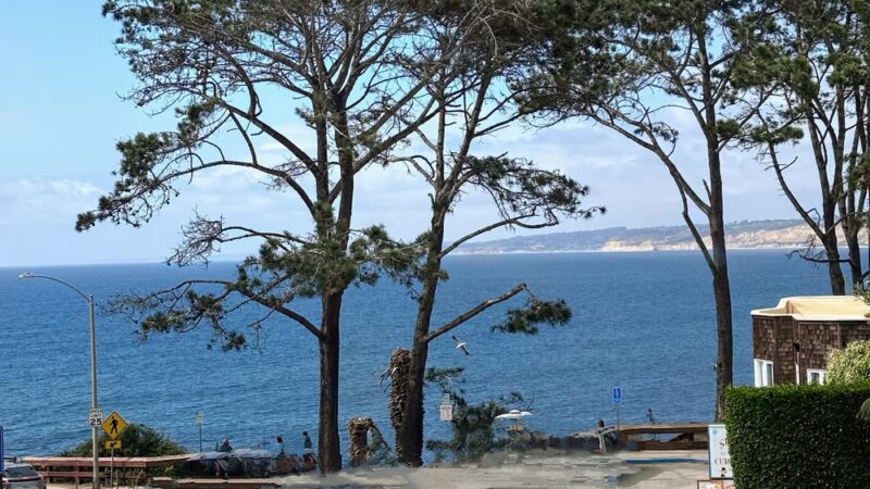 Coast Walk Trail - La Jolla, CA